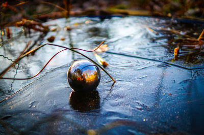 High angle view of bauble on puddle