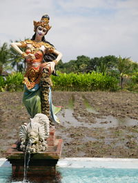 Statue by lake against sky