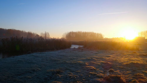 Scenic view of trees against sky during sunset