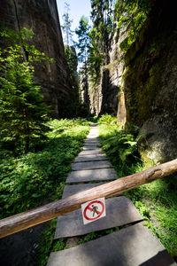 Road sign by trees in forest