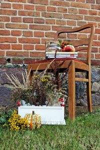 Chairs in grass