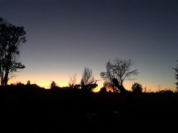 Silhouette trees on field against clear sky at sunset