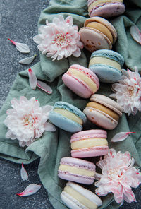 Beautiful colorful tasty macaroons on a concrete background