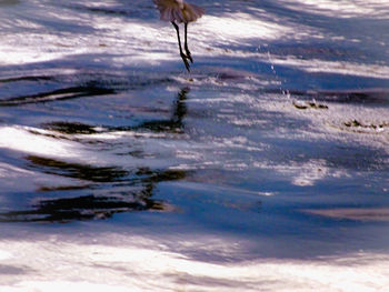Reflection of clouds in water