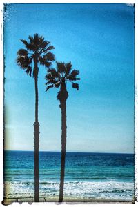 Silhouette palm trees at beach against sky