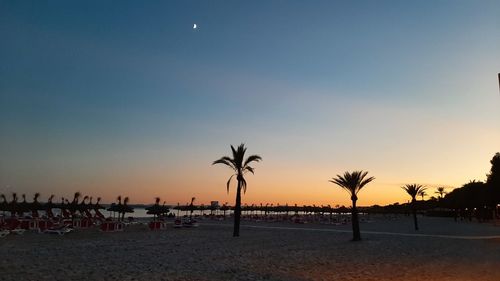 Silhouette palm trees on beach against sky during sunset