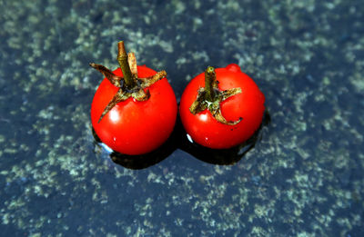 High angle view of tomatoes on water