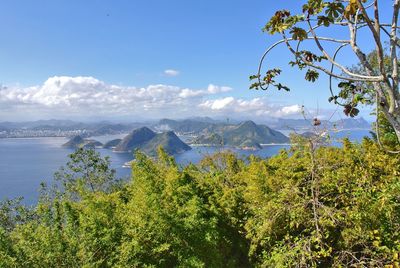 Scenic view of tree and mountains against sky