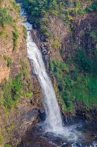 Scenic view of waterfall in forest