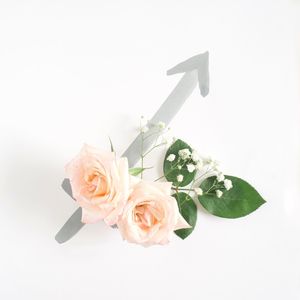 Close-up of rose bouquet against white background
