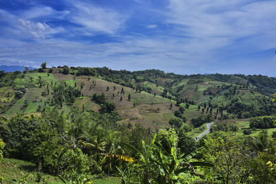 Scenic view of landscape against sky