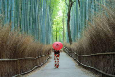 Rear view of a woman walking on footpath