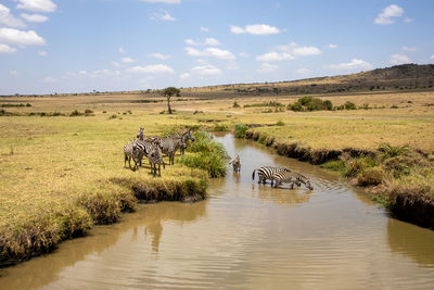 Scenic view of lake