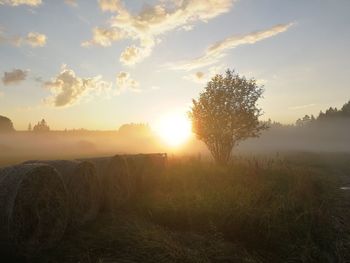 Scenic view of field against sky during sunset