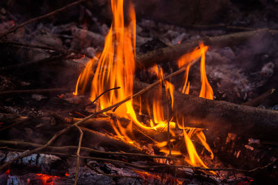 Close-up of bonfire