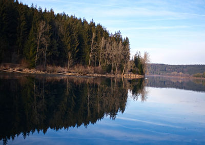 Reflection of trees in lake against sky
