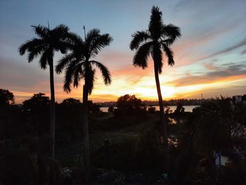 Silhouette palm trees against sky during sunset