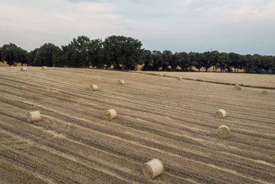 Hay bales on field against sky