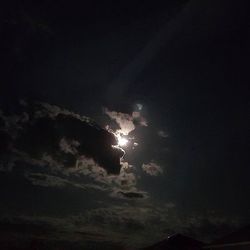 Low angle view of trees against sky at night