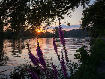 Scenic view of lake against sky during sunset