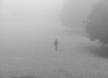 Lonely person walking at park in foggy weather