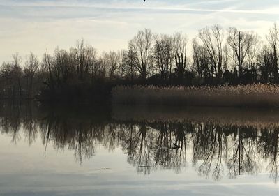 Reflection of trees in lake against sky