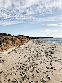 Scenic view of beach against sky