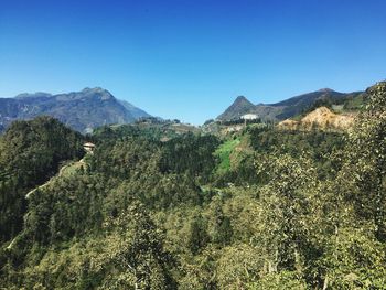 Scenic view of landscape against clear blue sky