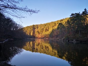 Reflection of trees in lake against sky during autumn