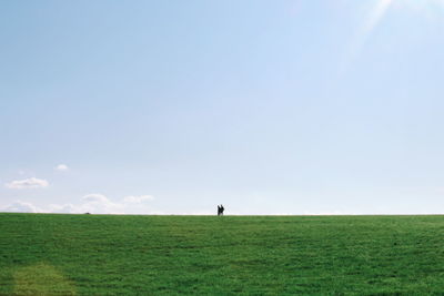 Scenic view of field against clear sky