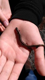 Low section of man holding leaf