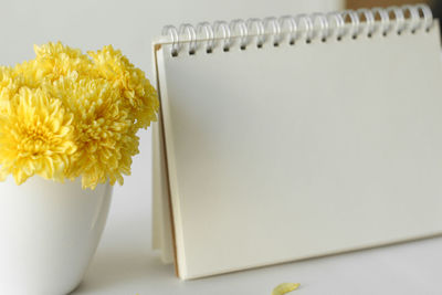 Close-up of white yellow flower on table