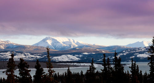 Scenic view of snowcapped mountains against sky during winter