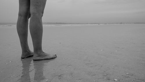 Low section of person standing on beach