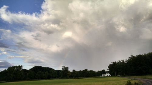 Panoramic view of trees against sky