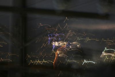 People enjoying at night