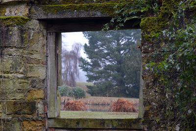 Scenic view of forest seen through window