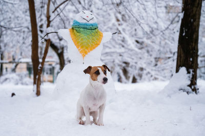 Dog running on snow covered field