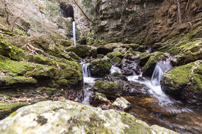 Scenic view of waterfall in forest