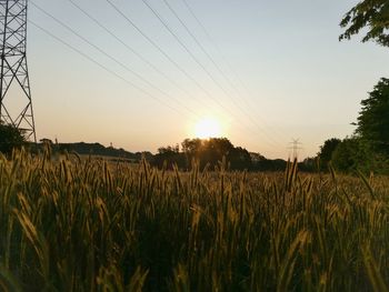 Scenic view of field against sky during sunset