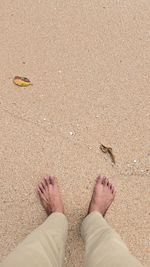 Low section of person standing on beach