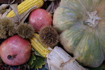 Close-up of fruits