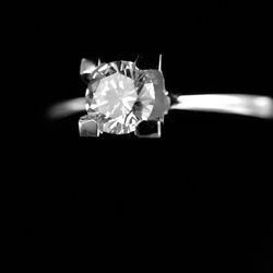 Close-up of white flower over black background