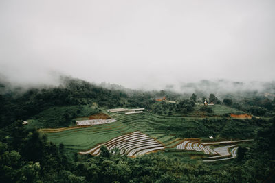 High angle view of trees on field against sky