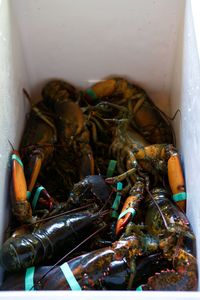 High angle view of food on table
