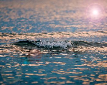 View of turtle in sea