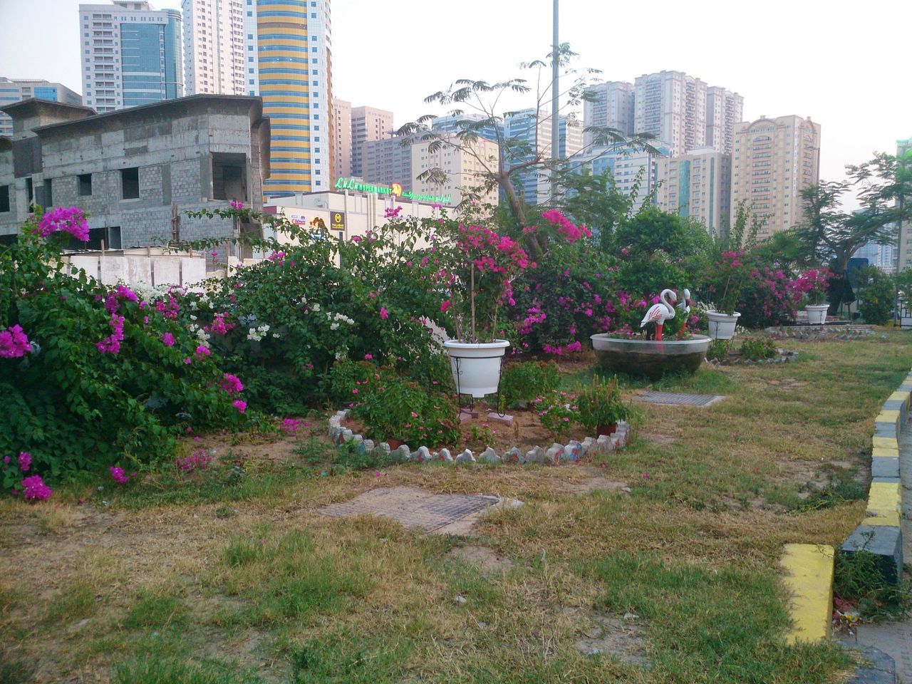 building exterior, architecture, built structure, flower, growth, city, tree, plant, freshness, lawn, building, day, fragility, park - man made space, nature, outdoors, clear sky, grass, green color, office building