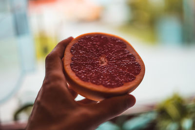 Close-up of person holding grapefruit