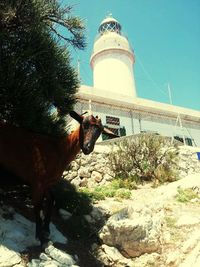 Lighthouse against clear sky