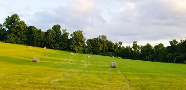 Scenic view of field against sky